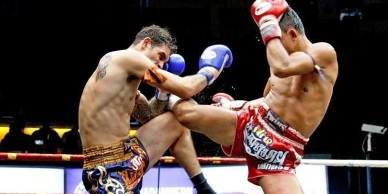 Cá Cược Quyền Thái ONE Championship Dễ Thắng Hiệu Quả 2 Trang Chủ Jun88.com #1 Việt Nam Tham gia cá độ quyền Thái bằng kèo thắng/thua